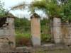 dscf4861_small.jpg