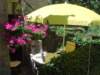 Photo Number 9